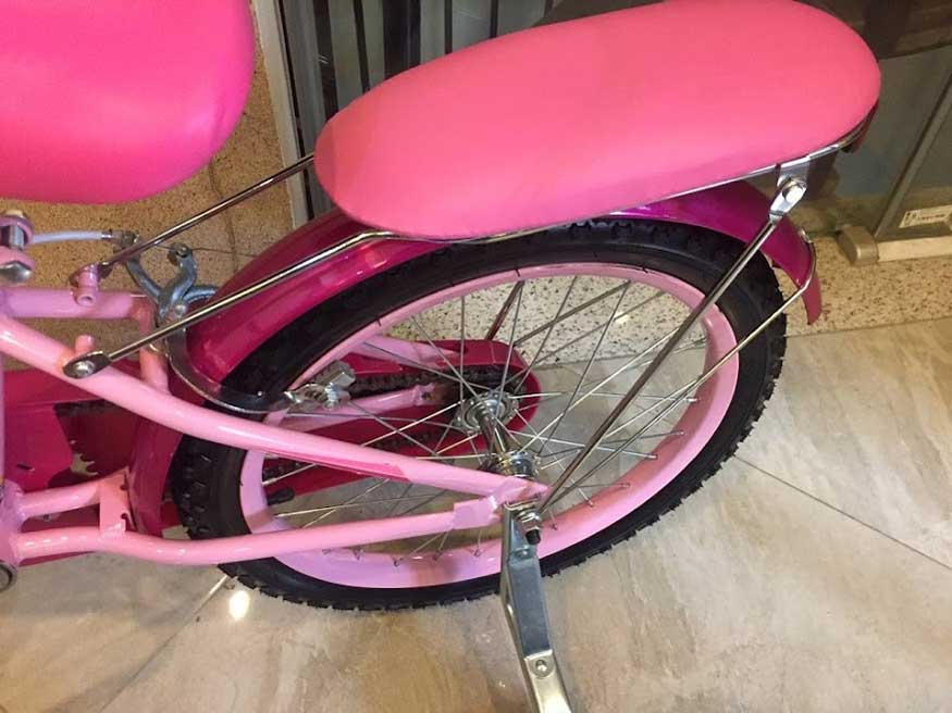 Xe đạp trẻ em DECH 908 6 - Xe đạp đường phố Banh baga xe dap be gai dech 908 - Xe đạp đường phố