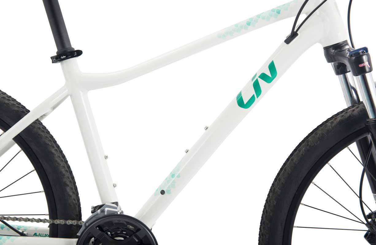 Xe đạp địa hình nữ mtb Giant LIV CATE 2 2022 4 - Xe đạp đường phố Khung Xe dap dia hinh mtb Giant Liv Cat 2 2022 - Xe đạp đường phố