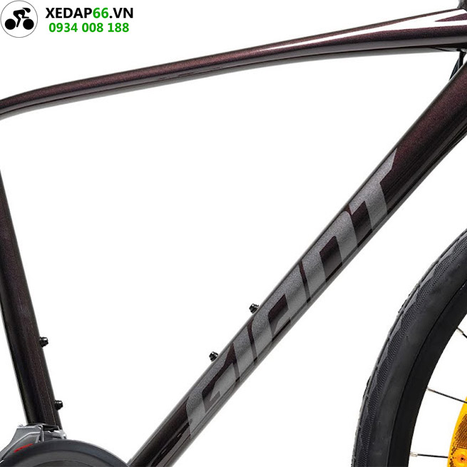 Xe đạp đường phố có nên mua không? 9 - Xe đạp đường phố Khung Xe dap duong pho Giant Escape 2 disc 2022 - Xe đạp đường phố