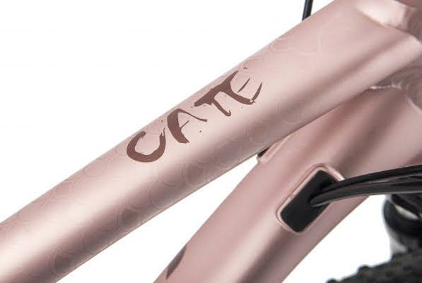 Khung2 Xe dap dia hinh nu Giant liv cate 1 2022 - Xe đạp đường phố