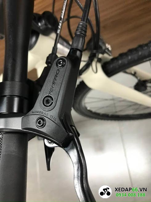 Xe đạp trợ lực điện GIANT FASTER E+ 7 - Xe đạp đường phố Tay de Xe dap tro luc dien GIANT FASTER E - Xe đạp đường phố