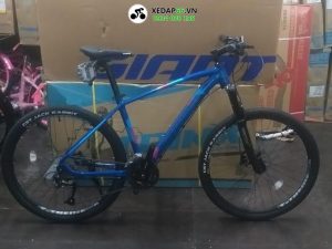 Xe dap dia hinh mtb Trinx X1 One 2021 xanh duong - Xe đạp đường phố