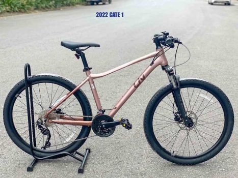 Xe dap dia hinh nu Giant liv cate 1 2022 hong - Xe đạp đường phố