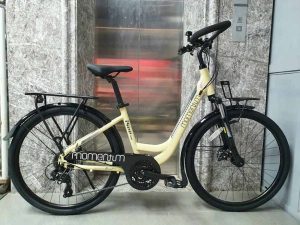 Xe đạp thể thao đường phố GIANT-ISEE 330 2022 4 - Xe đạp đường phố Xe dap duong pho Giant momentum isee 330 nu kem 1 - Xe đạp đường phố