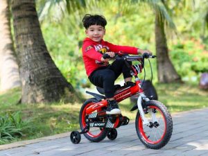 Xe đạp trẻ em TOTEM 903 3 - Xe đạp đường phố Xe dap tre em totem 903 do 2 - Xe đạp đường phố