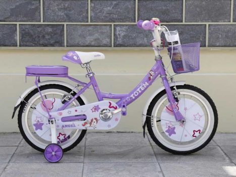 Xe dap tre em totem Angel 18 tim - Xe đạp đường phố