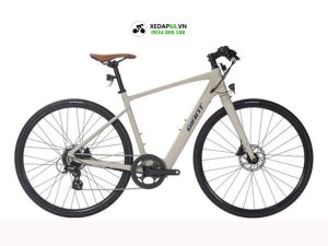 Xe đạp trợ lực điện GIANT FASTER E+ 1 - Xe đạp đường phố Xe dap tro luc dien GIANT FASTER E trang 1 - Xe đạp đường phố