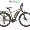 Xe đạp trợ lực điện GIANT EXPEDITION E+ 18 - Xe đạp đường phố Xe dap tro luc dien Giant Expedition E nau - Xe đạp đường phố