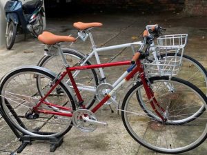 Xe dap the thao touring soming traverse do trang - Xe đạp đường phố