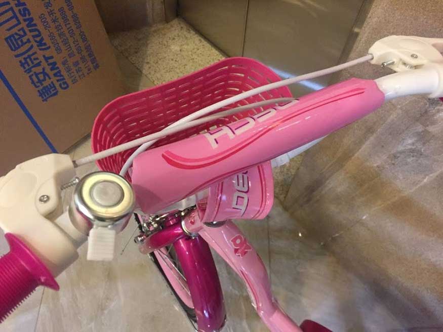 Xe đạp trẻ em DECH 908 5 - Xe đạp đường phố tay lai xe dap be gai dech 908 - Xe đạp đường phố