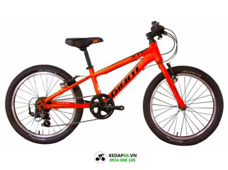 xe dap dia hinh tre em giant XTC20 2021 do - Xe đạp đường phố