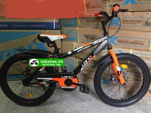 xe dap tre em 4 banh lanq sport 1635 den cam 2 - Xe đạp đường phố