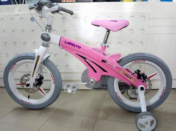 xe dap tre em lanq fd1640 16 hong - Xe đạp đường phố