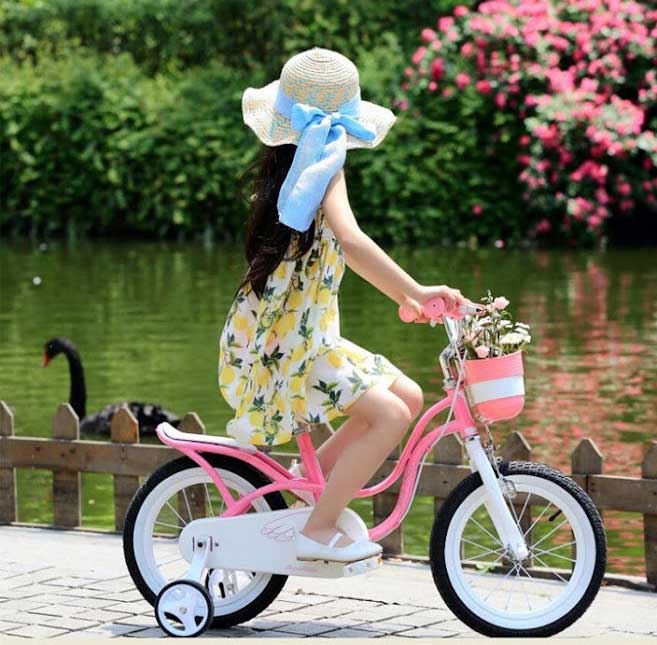 xe dap tre em royalbaby litter swain pink 2 - Xe đạp đường phố