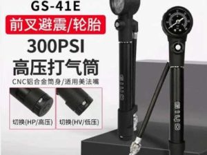 Bơm cao áp, bơm phuộc Giyo GS-41E 300PSI