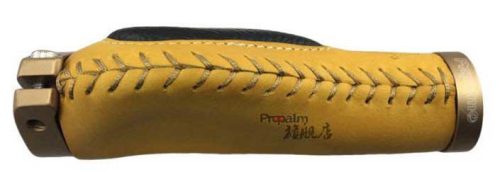 tay nam da Propalm 2 - Xe đạp đường phố