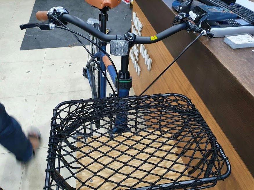 Ghi dong Xe dap duong pho Giant Ineed Dandy RD - Xe đạp đường phố