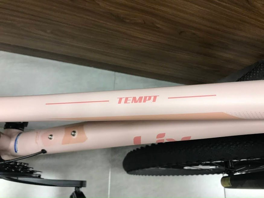 Xe đạp địa hình nữ mtb GIANT LIV TEMPT 2 2023 3 - Xe đạp đường phố Khung Xe dap dia hinh nu giant liv Tempt 2 2023 - Xe đạp đường phố