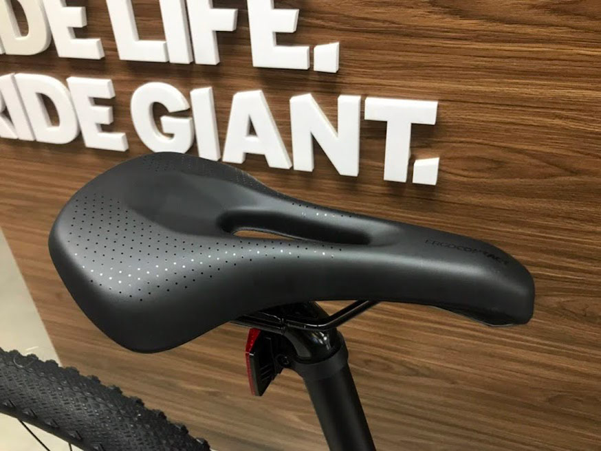 Xe đạp địa hình nữ mtb GIANT LIV TEMPT 2 2023 8 - Xe đạp đường phố Yen Xe dap dia hinh nu giant liv Tempt 2 2023 - Xe đạp đường phố