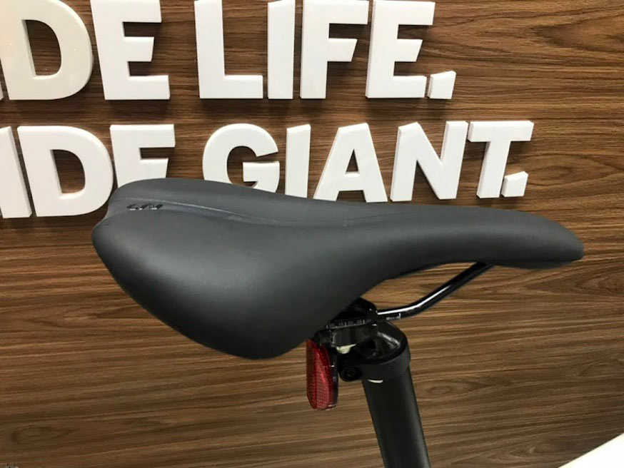 Yen xe dap dia hinh nu Giant liv tempt 3 2023 - Xe đạp đường phố