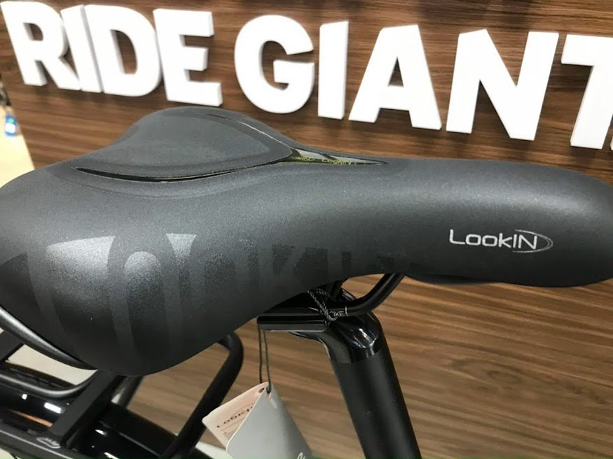 Yen xe dap the thao touring Giant isee 530 nu 2022 den - Xe đạp đường phố