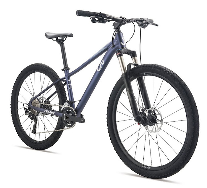 Xe đạp địa hình nữ mtb GIANT LIV TEMPT 1 2023 3 - Xe đạp đường phố xe dapdia hinh Giant tempt 1 2023 xanh ghi 01 - Xe đạp đường phố
