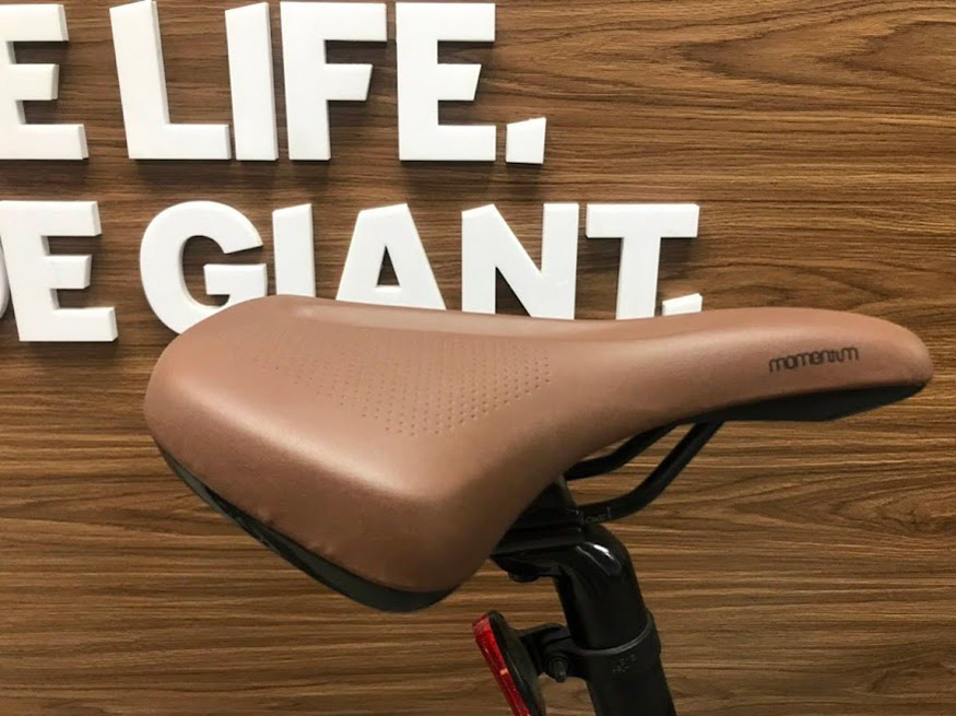 yen xe dap tro luc dien Giant Espresso E 2022 banh 20 - Xe đạp đường phố