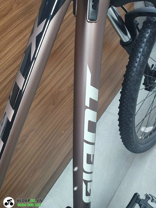 Xe đạp thể thao địa hình mtb GIANT ATX 810 2023 4 - Xe đạp đường phố Khung xe dap dia hinh mtb giant atx 810 2023 nau dong - Xe đạp đường phố
