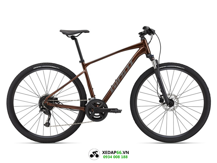 xe dap the thao hybrid Giant roam 2 disc 2022 nau dat - Xe đạp đường phố