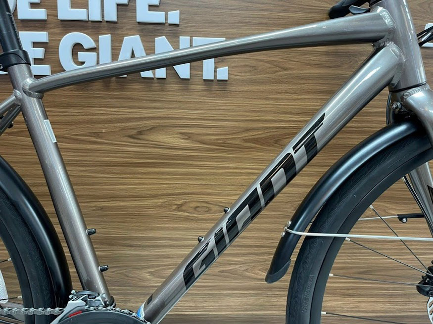 Xe đạp đường phố GIANT ESCAPE 2 CITY D 2024 5 - Xe đạp đường phố Cận cảnh khung xe màu ghi metal rất sang trọng