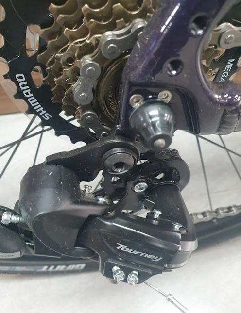 Xe đạp thể thao nữ LIV ALIGHT 2 2023 10 - Xe đạp đường phố gat lip xe dap the thao nu liv alight 2 2023 - Xe đạp đường phố