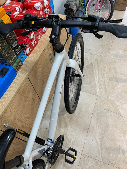 Xe đạp thể thao nữ LIV ALIGHT 1 2023 6 - Xe đạp đường phố ghi dong xe dap the thao nu giant liv alight 1 2023 - Xe đạp đường phố