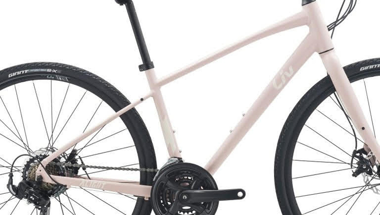 Xe đạp thể thao nữ LIV ALIGHT 2 2023 6 - Xe đạp đường phố khung xe dap the thao nu liv alight 2 2023 - Xe đạp đường phố