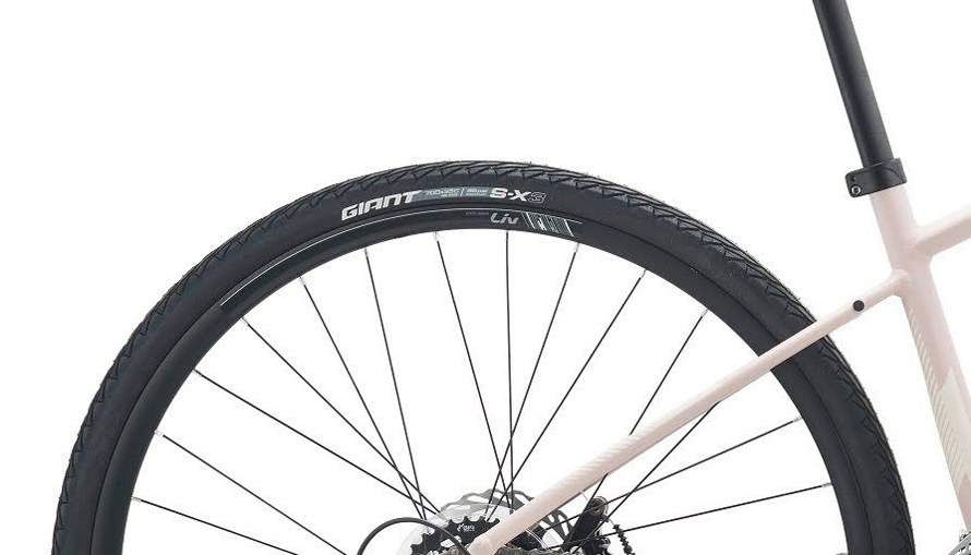 Xe đạp thể thao nữ LIV ALIGHT 2 2023 16 - Xe đạp đường phố lop 02 xe dap the thao nu liv alight 2 2023 - Xe đạp đường phố