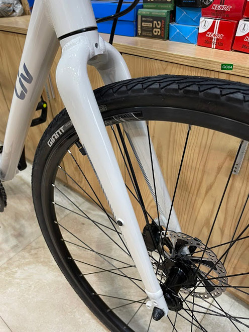 Xe đạp thể thao nữ LIV ALIGHT 1 2023 9 - Xe đạp đường phố lop xe dap the thao nu giant liv alight 1 2023 - Xe đạp đường phố