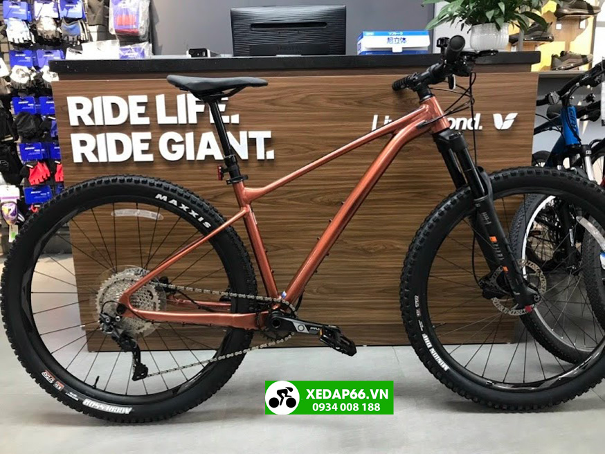 xe dap dia hinh giant fathom 29 2 2022 nau 01 - Xe đạp đường phố