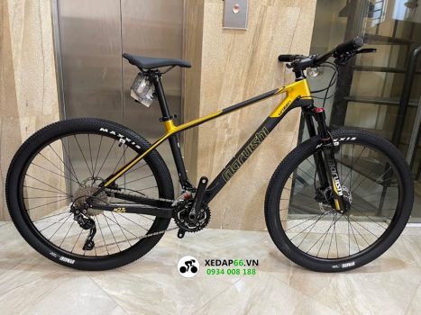 xe dap dia hinh mtb carbon Maruishi Unzen gold new - Xe đạp đường phố