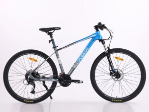 xe dap dia hinh magicbros leader 2 grey blue - Xe đạp đường phố