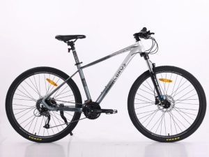 xe dap dia hinh magicbros leader 2 grey silver - Xe đạp đường phố