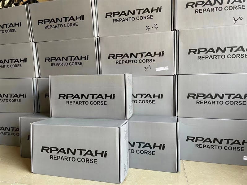 ghi dong xe dap road carbon RPANTAHI 02 - Xe đạp đường phố