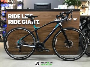 Xe đạp thể thao Giant ANYROAD ADV 1.5 (Tay cong)