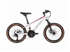 Xe đạo thể thao bánh 20" Twitter TW2000 Pro 2 - Xe đạp đường phố xe dap tre em banh 20 twitter tw2000 pro trang - Xe đạp đường phố