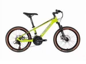 Xe đạo thể thao bánh 20" Twitter TW2000 Pro 1 - Xe đạp đường phố xe dap tre em banh 20 twitter tw2000 pro vang - Xe đạp đường phố