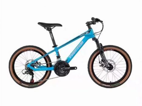 xe dap tre em banh 20 twitter tw2000 pro xanh duong - Xe đạp đường phố