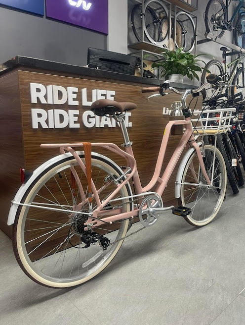 Xe đạp nữ Giant Momentum Ineed Latte 2024 10 - Xe đạp đường phố xe dap nu Giant ineed latte 2024 hong 02 - Xe đạp đường phố
