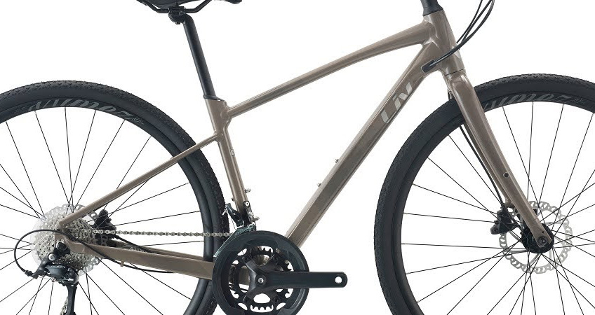 Xe đạp touring nữ LIV AIMEZ SL 2 2024 2 - Xe đạp đường phố khung xe dap touring nu liv AIMEZ SL 2 2024 nau - Xe đạp đường phố