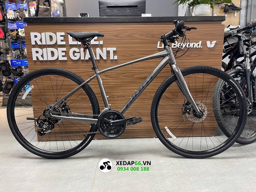 Xe đạp đường phố GIANT ESCAPE 2 2024 2 - Xe đạp đường phố Hình ảnh thực tế Giant Escape 2 2024 màu nâu