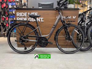 Xe đạp City Touring GIANT TROOPER 5300 2024