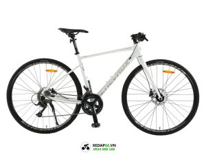 Xe đạp City Touring CHEVAUX AK PRO 2024 2 - Xe đạp đường phố xe dap city touring chevaux ak pro 2024 trang - Xe đạp đường phố