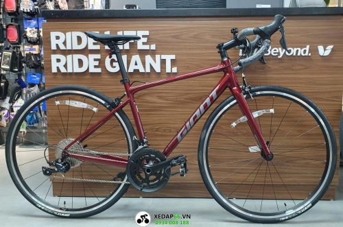 xe dap dua road giant contend 1 2024 do - Xe đạp đường phố